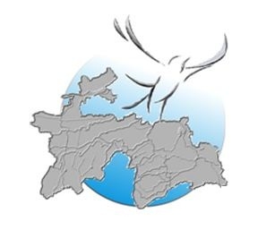 Ҳамкории ҳимоятгарон ва ташкилотҳои ҷамъиятӣ