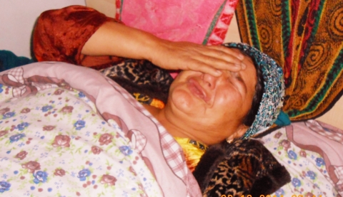 Панҷакент: Латукӯби як модар